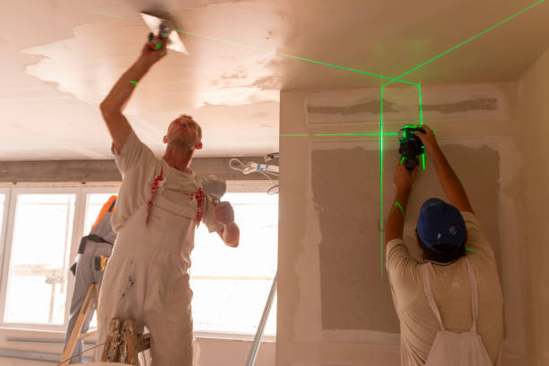 Best Fire-Damaged Drywall Repair  in Paloma Creek South, TX