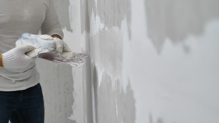 Best Drywall Sanding and Smoothing  in Paloma Creek South, TX